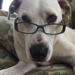 Meet your Posher, Kristen